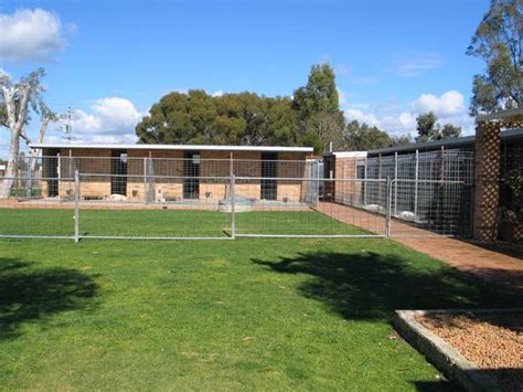 blackboy kennels sydney.